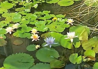 Filosofia oltre il Confine